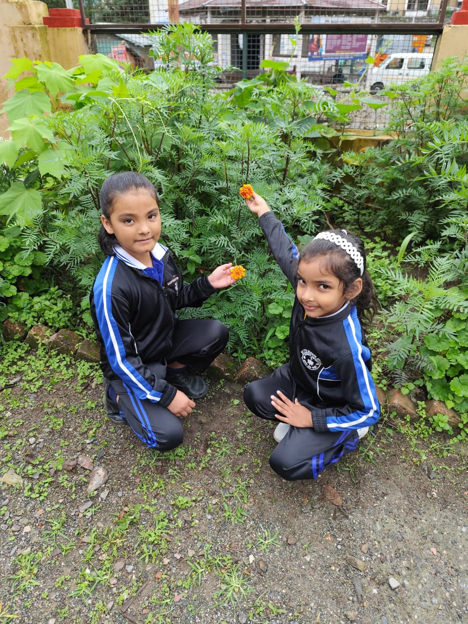 PLANTATION DRIVE